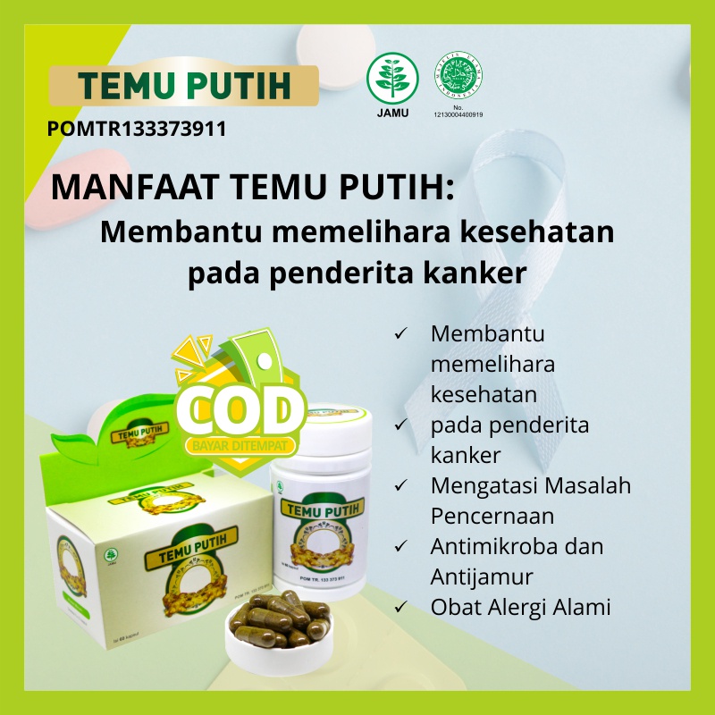 Obat  Pembunuh Sel Kanker ektrak Temu Putih 60 Kapsul - TEMU PUTIH