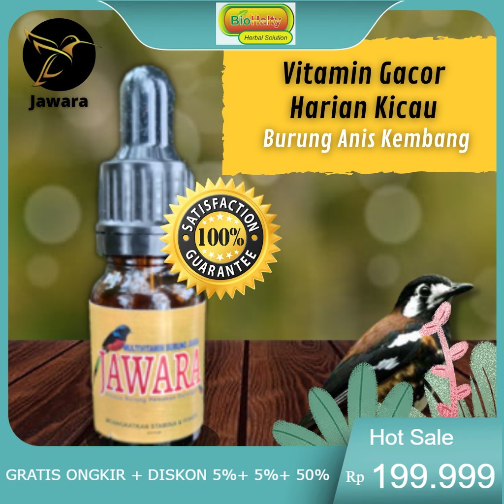 Vitamin Burung Gacor Pol, khusus Vitamin Harian  Burung Anis Kembang