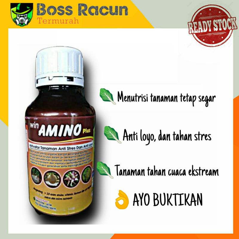 [win amino] ASAM AMINO- NUTRISI TANAMAN UNTUK CUACA EKSTRIM/ Nutrisi Tanaman Tetap Segar/ Asam Amino