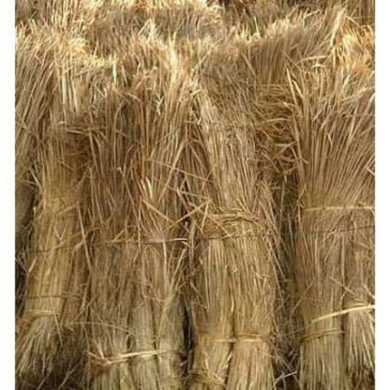 Jerami Padi Kering 500gram Jerami Padi