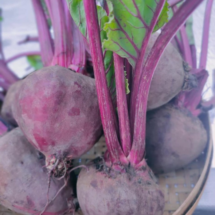

✨NEW✨ -buah bit / beetroot organik freshpack 1kg- 2.2.23