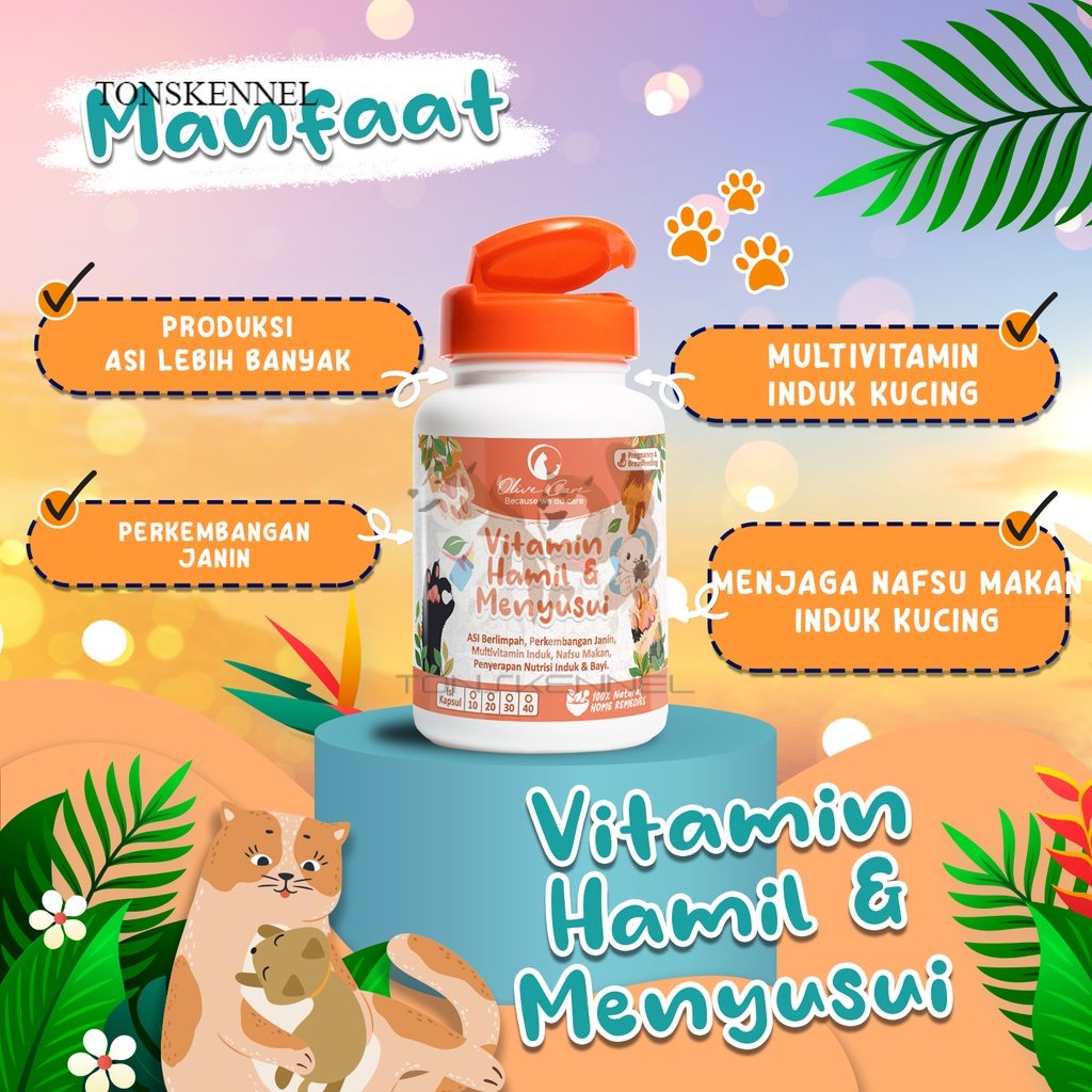 Olive Care Vitamin Kucing HAMIL &amp; MENYUSUI untuk Produksi Asi, Perkembangan Bayi, Multivitamin Induk Kucing dan Menjaga Nafsu Makan