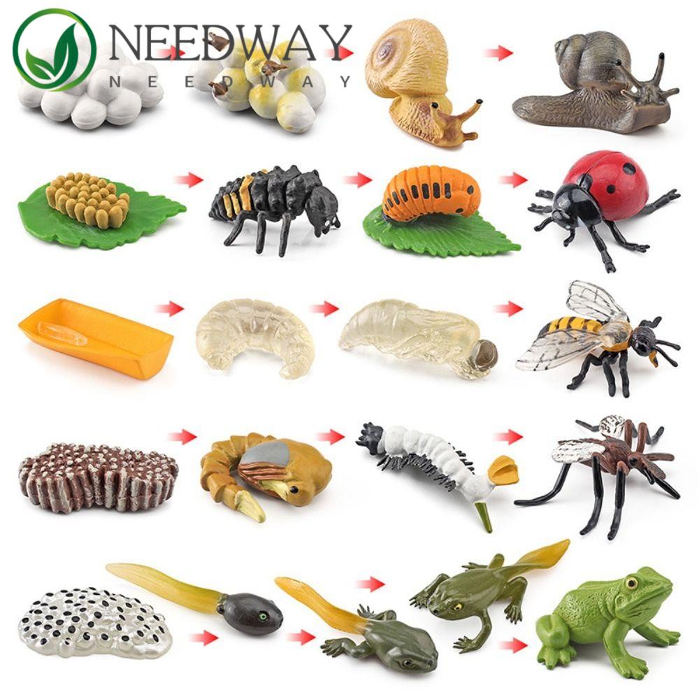 Needway  Animal Life Cycle Mainan Anak Ipa Mainan Serangga Hewan Butterfly Growth Cycle Action Figure Bahan Mengajar Mainan Kognitif Simulasi Model Tanaman