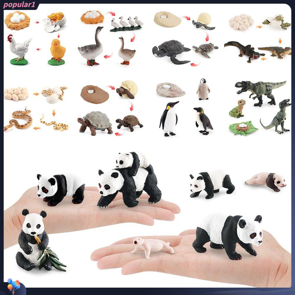 Populer Model Hewan Set Miniatur Patung Montessori Mainan Biologi Aksesoris Model Pandan Mainan Edukasi