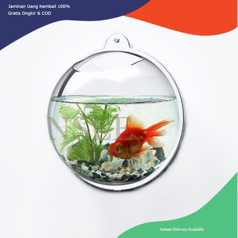 Aquarium dinding, Aquarium Bulat, Aquarium unik, Aquarium minimalis, Aquarium tempel, Aquarium ikan