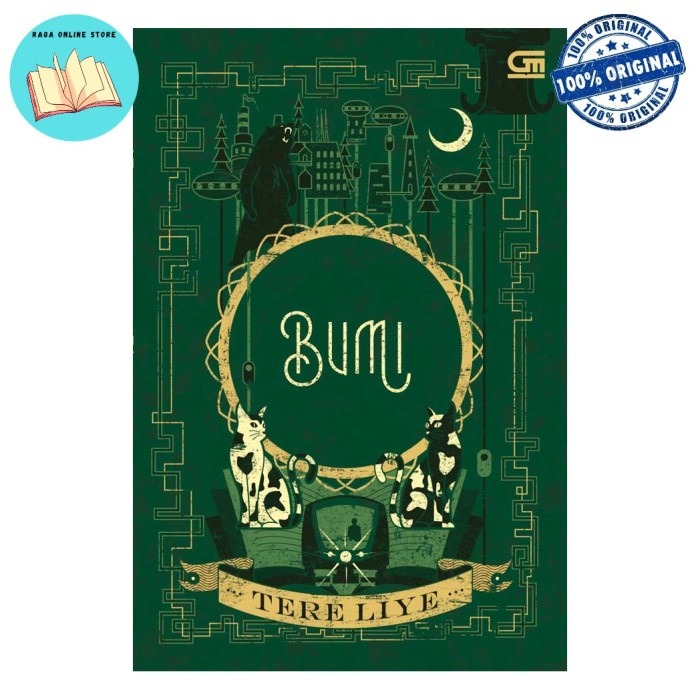 Novel Bumi Tere Liye