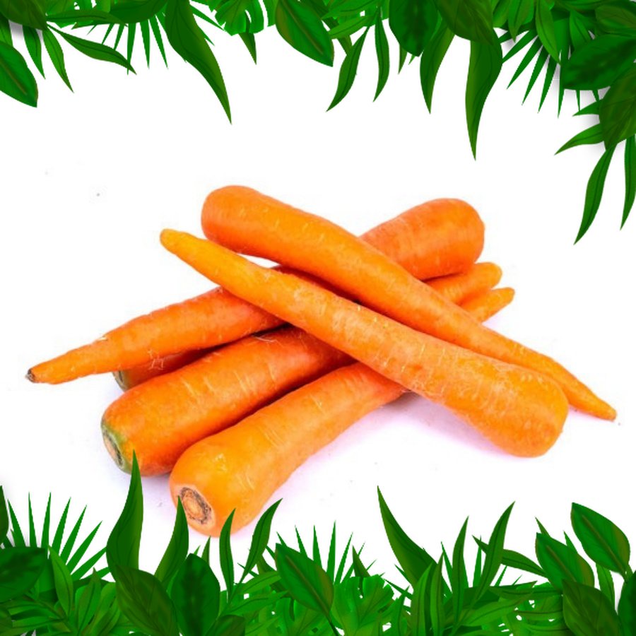 

Sayur Fresh Nuatara Wortel 500 gram