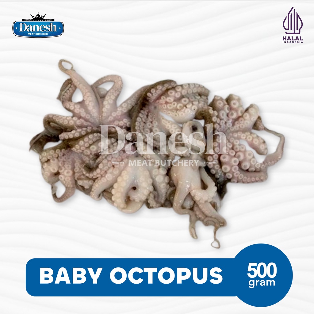 Baby Octopus 500gr Gurita Frozen Food