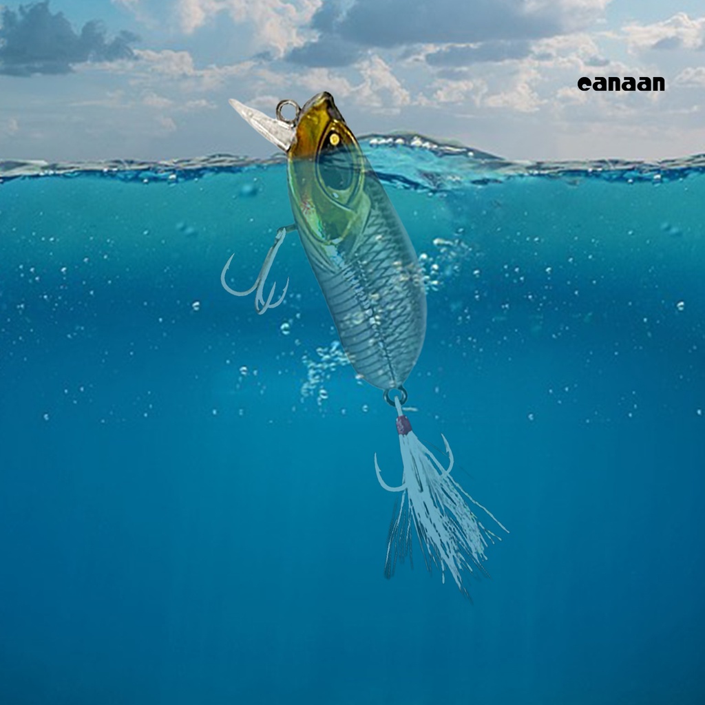 Cnn-5cm/8g Umpan Bionik 3D Simulasi Fisheye Tajam Treble Hook Simulasi Getar Manik-Manik Kerincingan Memancing Umpan Untuk Memancing Luar Ruangan