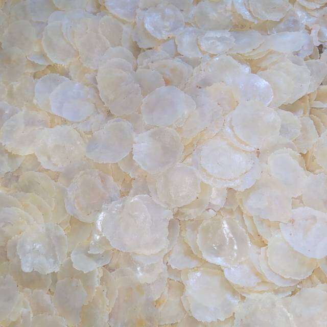 

EMPING MELINJO MENTAH SIZE KECIL SUPER TIPIS 5KG