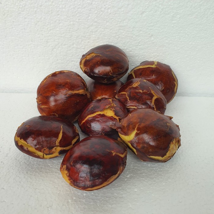 

JENGKOL TUA KUPAS (pack@250gr)