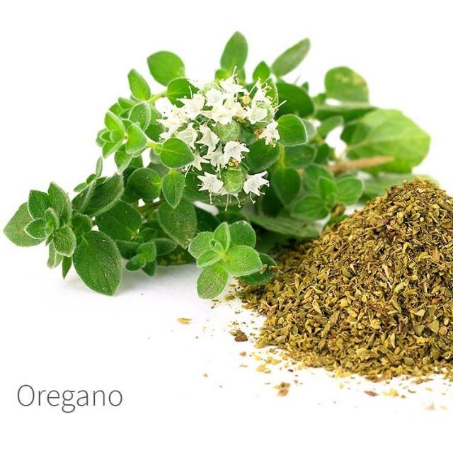 

Dried Oregano 1 Kg - Daun Oregano 1 Kg / Turkish Oregano / Daun Oregano 1 Kg / Premium Oregano 1 Kg