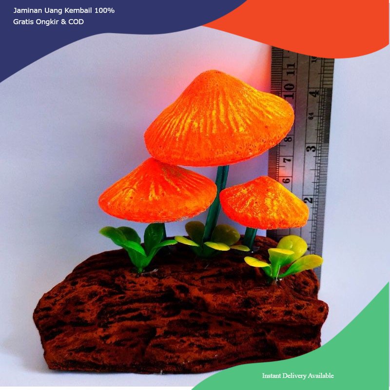 hiasan aquarium jamur orange, dekorasi aquarium jamur orange, hiasan aquarium jamur, dekorasi aquari