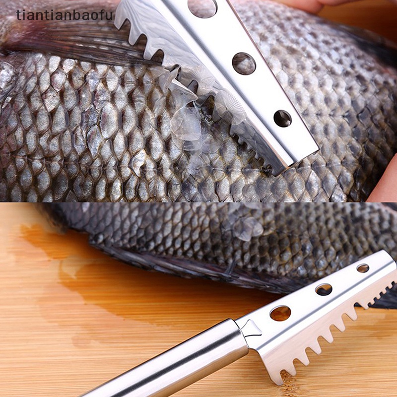 [tiantianbaofu] Stainless Steel Fish Scaler Handheld Remover Sea Cleaning Scraper Pembersih Kerak Butik
