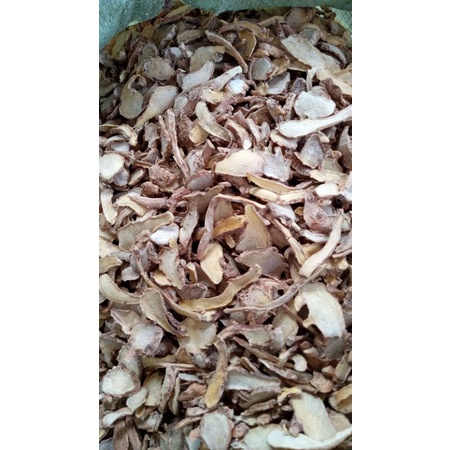 

BUBUBK KUNCI KERING 1 KG Tanaman Herbal Nusantara Free Stiker PIRT Random