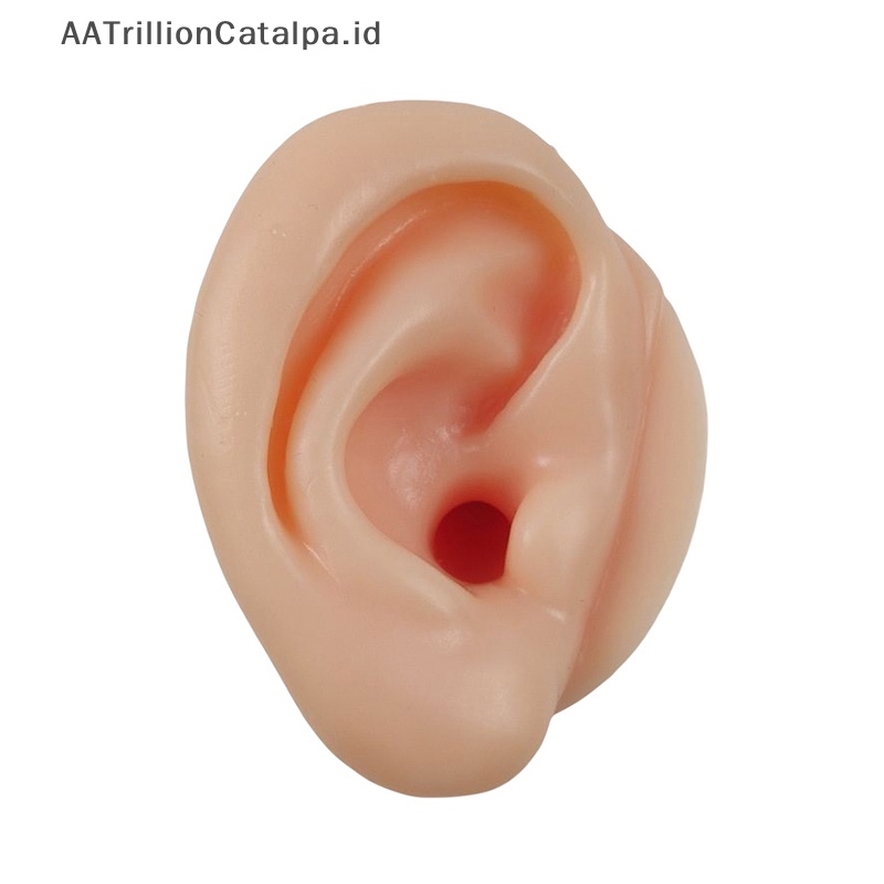 Galihrillion syalatalpa 1/2 trakecs alfinilicone alfinodel alfinodel galihm alfinaking galihraining umakuar nayahmengkilapkan galihkotensi nayah