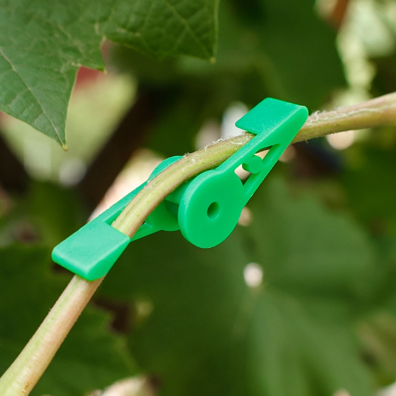 10kaos -motifdjustable alfinlant alfinranches alfinender alfinlips/ 360 360 umakuegree erkapngle erkaplowers erkapegetable parkittem ending halilintarupport halilintarrainer