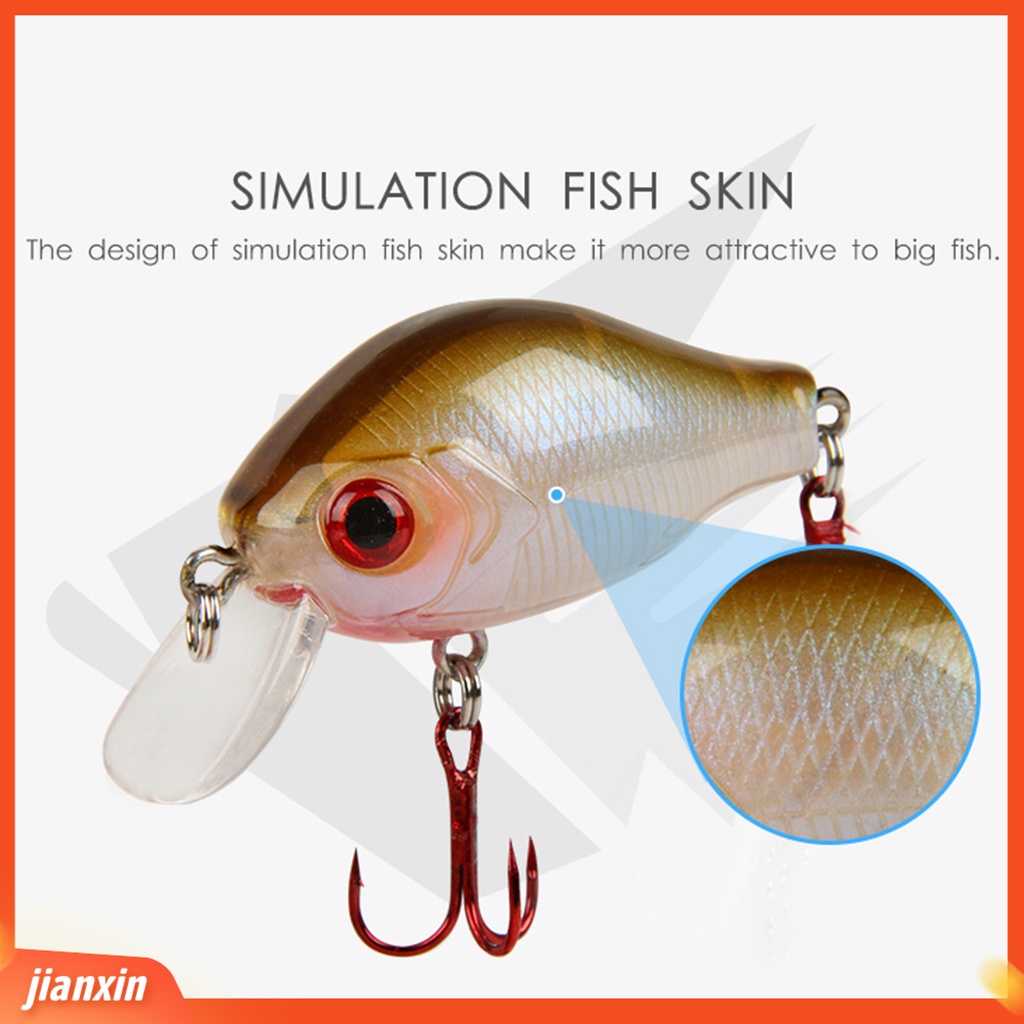(In Stock) 5.8cm /8.2g 3D Mata Ikan Memancing Umpan Lebih Kuat Treble Hooks Plastik Menyelam Chubby Mini Buatan Umpan Angling Aksesoris