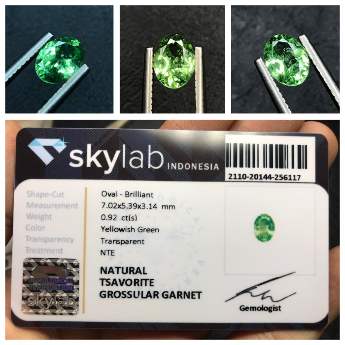 Natural 0.92ct Tsavorite Green Garnet