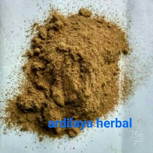 

temu kunci bubuk 500 gram 100% ASLI