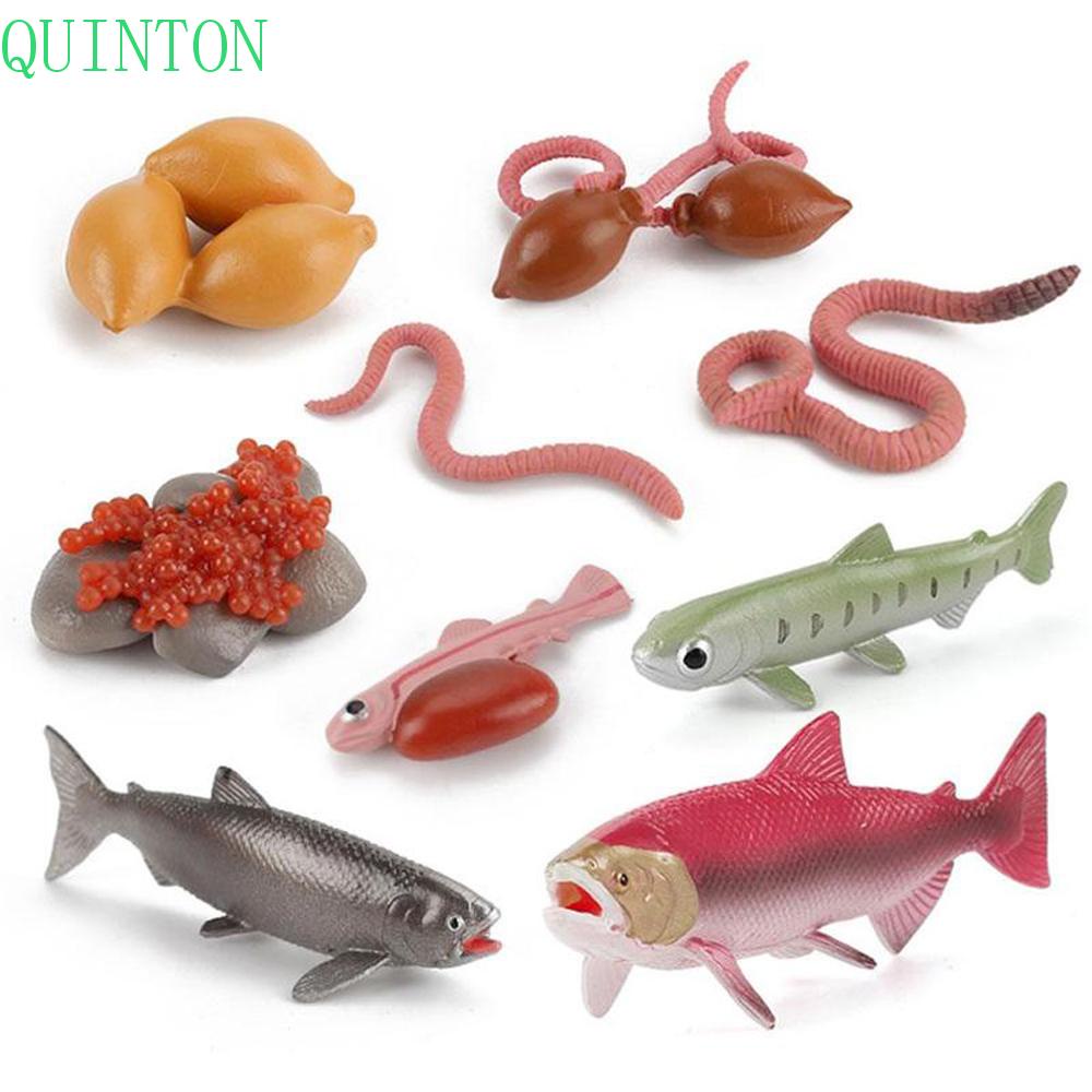 QUINTON Sea Life Salmon Kids Gifts Octopus Realistic Life Cycle Earthworm Simulation Insect Collect Science Plastic Animals Figurines Growth Cycle Model