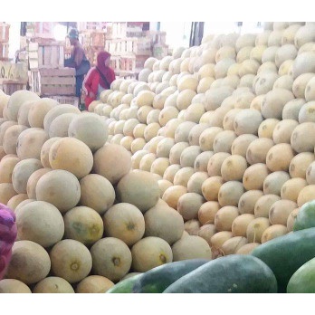 

✨NEW✨ -BUAH MELON MADU MANIS- 2.2.23