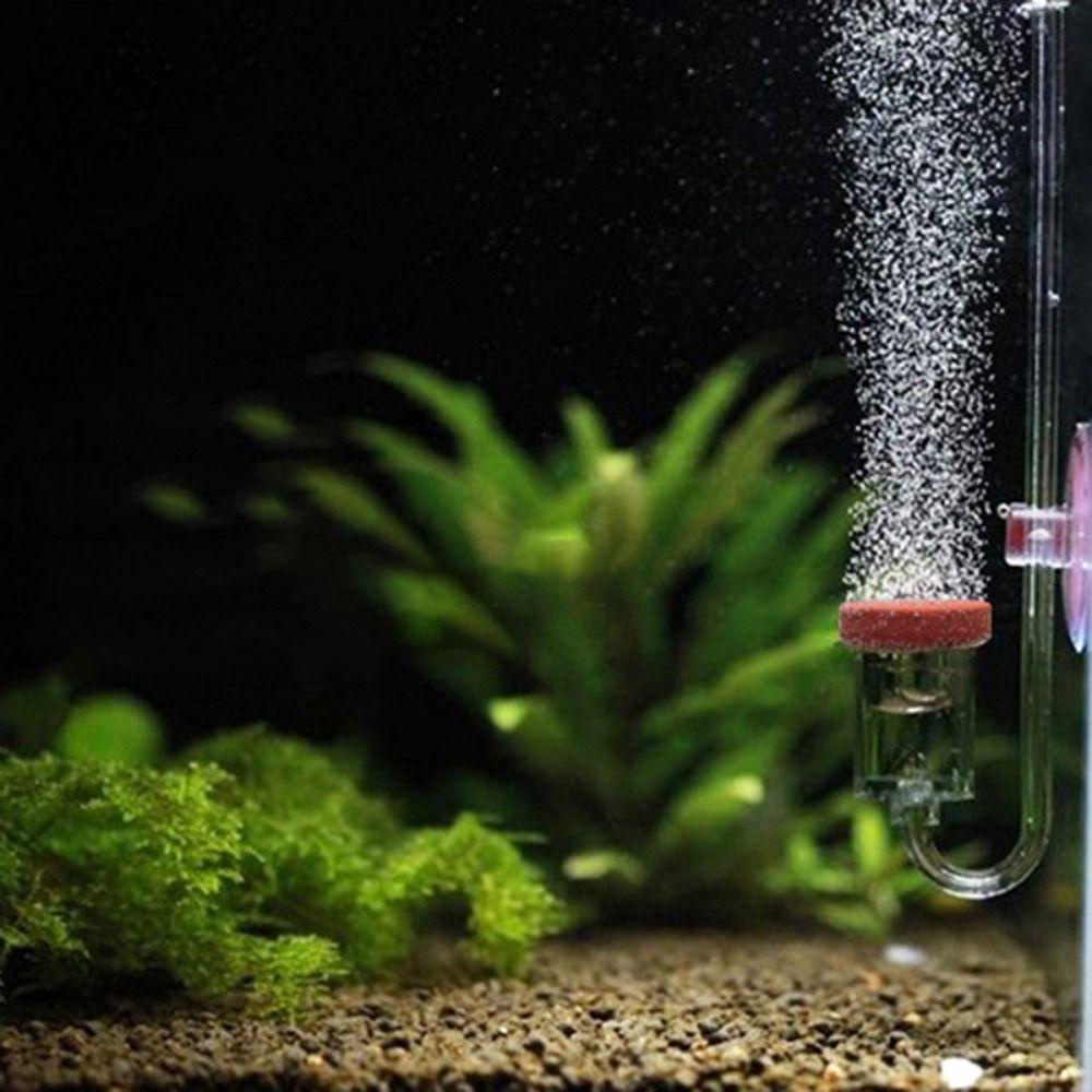 [Elegan] Aerator Mini2023Rumah Tangga Transparan Dengan Pompa Oksigen Suction Cup