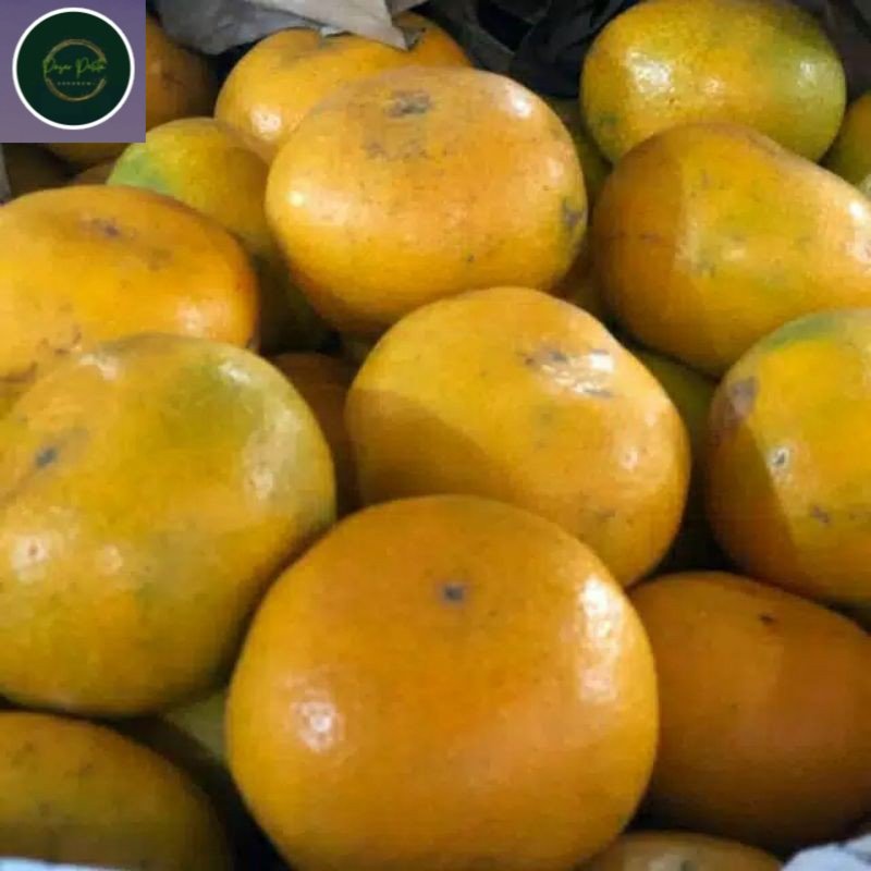 

Buah Jeruk