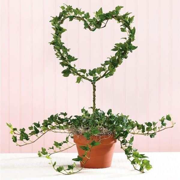 Loop Planters - Rambatan Hias Besi Love Tanaman Hias Merambat