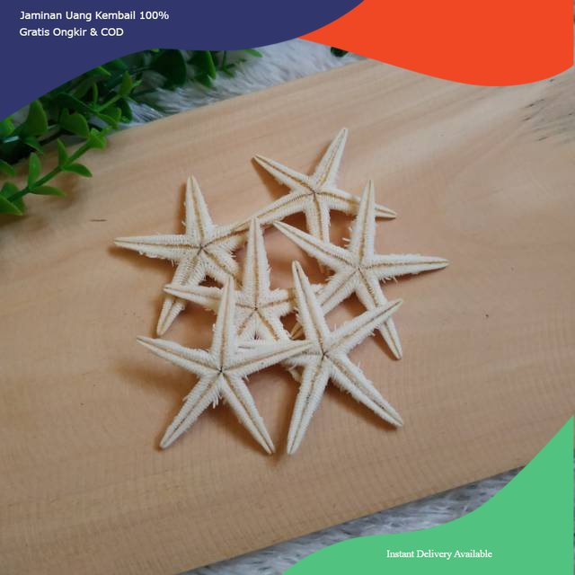 hiasan aquarium bintang laut palsu, dekorasi aquarium bintang laut buatan, bintang laut aquarium fak