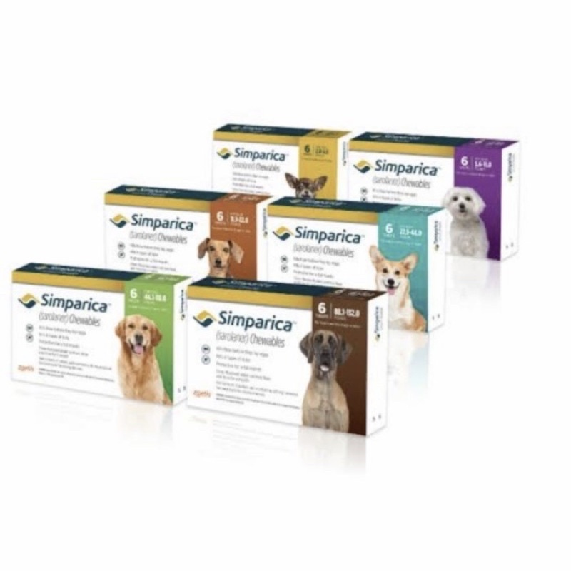 PROMO OBAT KUTU ANJING SIMPARICA