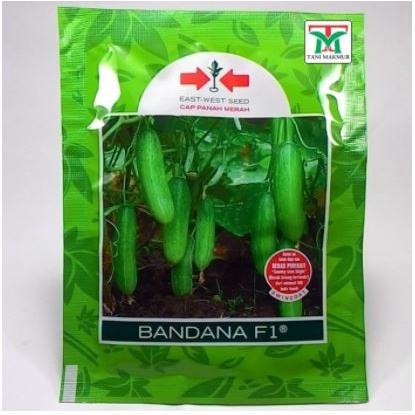 Benih Timun Bandana Timun Hijau 800 Butir