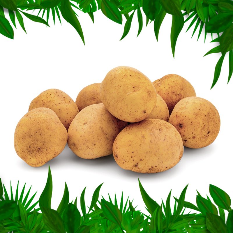 

SAYURAN FRESH NUSANTARA - Kentang Dieng Baby 250gr