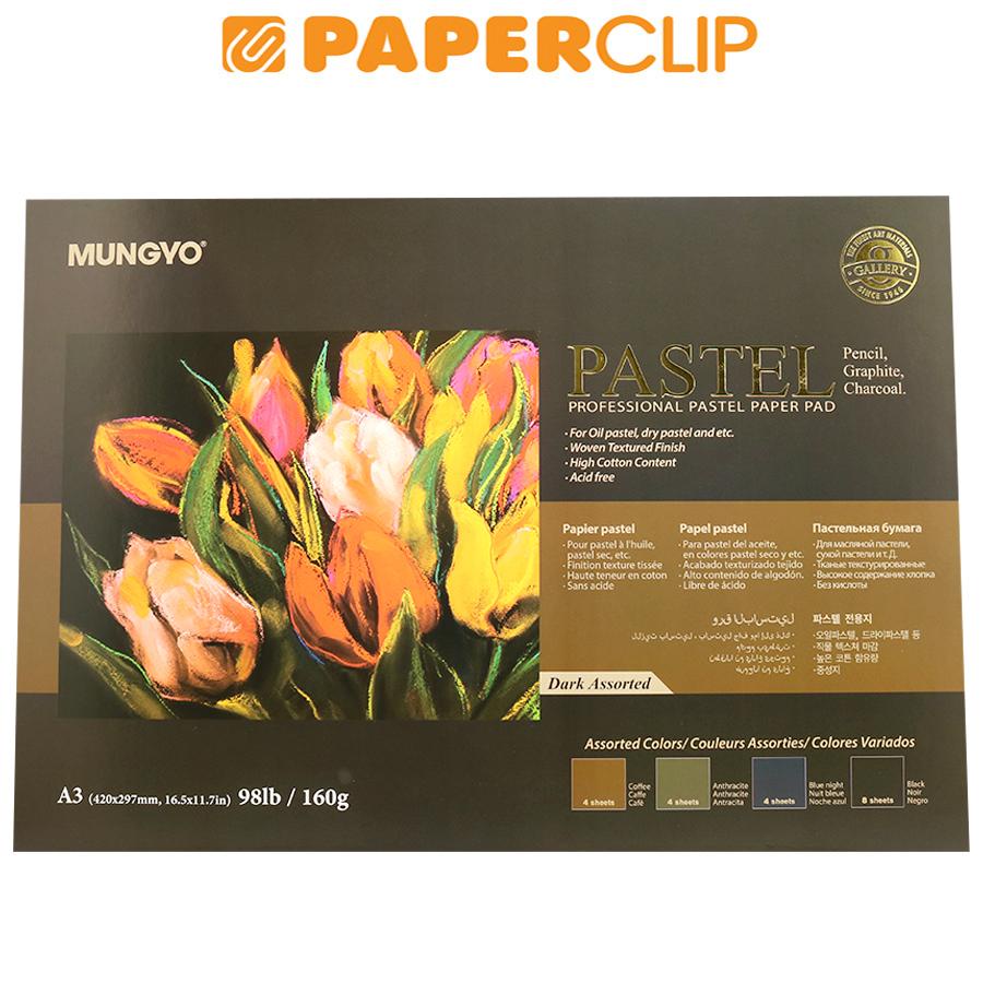 

KERTAS / PASTEL PAPER MUNGYO MPPP-A3 20S DARK ASSORTED