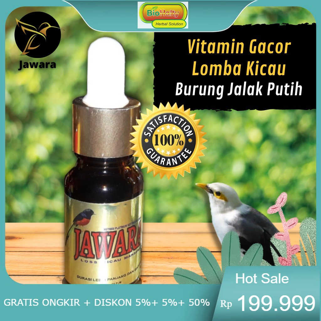 Vitamin Burung, Burung jadi Gacor khusus Lomba Kicau Burung Jalak Putih