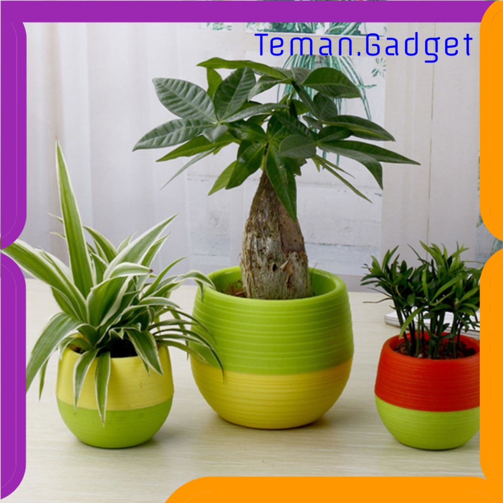 TG -  ART Mini Pot Bunga Hias Kaktus Tanaman - 5pcs