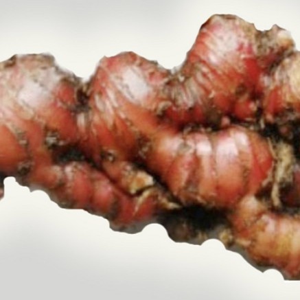 

Jahe Merah Organik / Organic Red Ginger 250g (CitraFood)