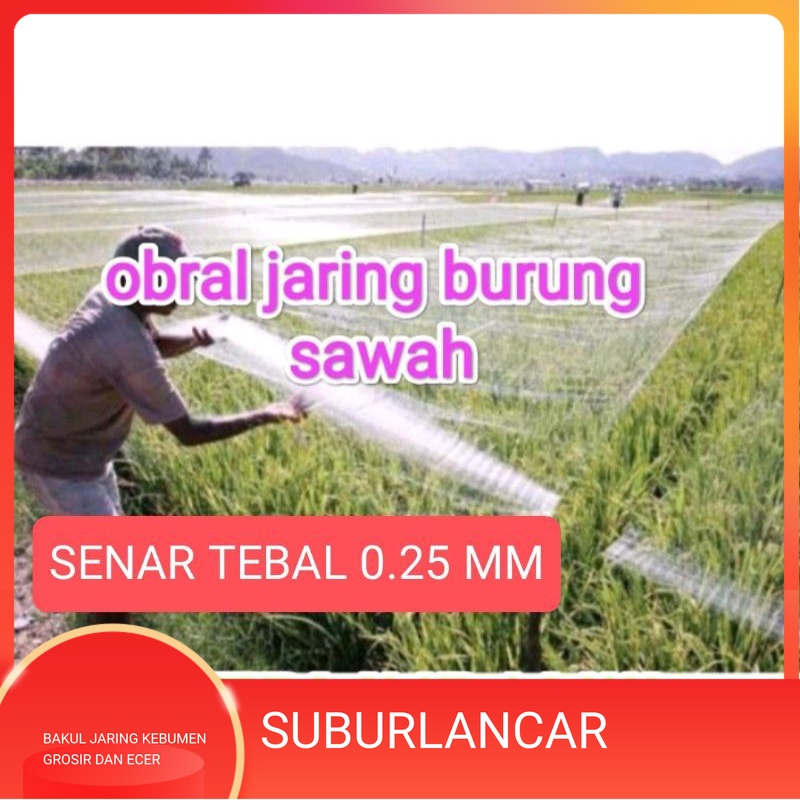 Jaring padi sawah, jaring pengaman sawah, jaring burung perkutu jaring burung murah senar tebal