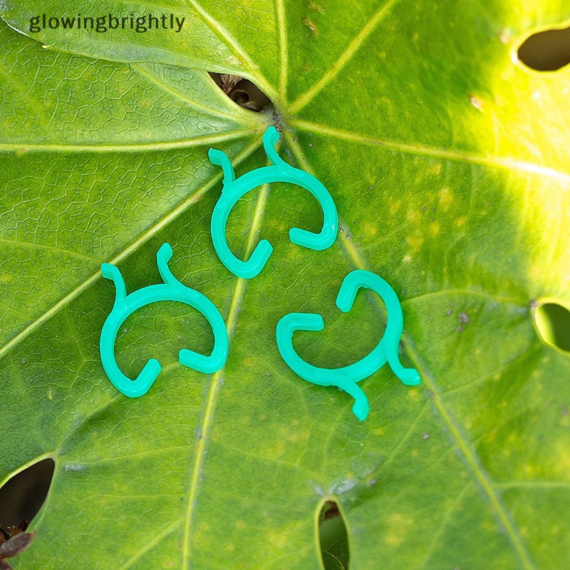 [glowingbrightly] 20pcs Hijau Tanaman Taman Klip Kupu-Kupu Gesper Plang Dukungan Gripper Untuk Bunga Sayuran Tuas Loop Clamp Memegang Batang TFX