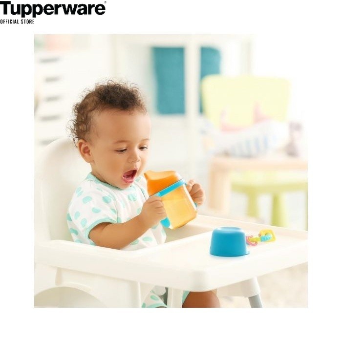 TUPPERWARE BOTOL MINUM DOT ANAK BAYI PLASTIK TWINKLE SIPPY CUP BELI