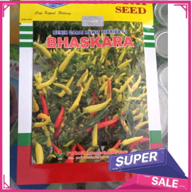 Penjualan SUPER Benih cabe rawit putih Hibrida BHASKARA F1 10 Gram cabai baskara f1 10gr VIRALL