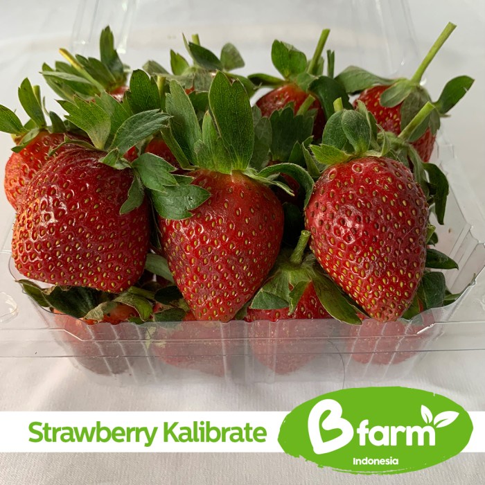 

✨NEW✨ -Strawberry Kalibrate 500 Gr (Area Bandung & Cimahi only)- 2.2.23