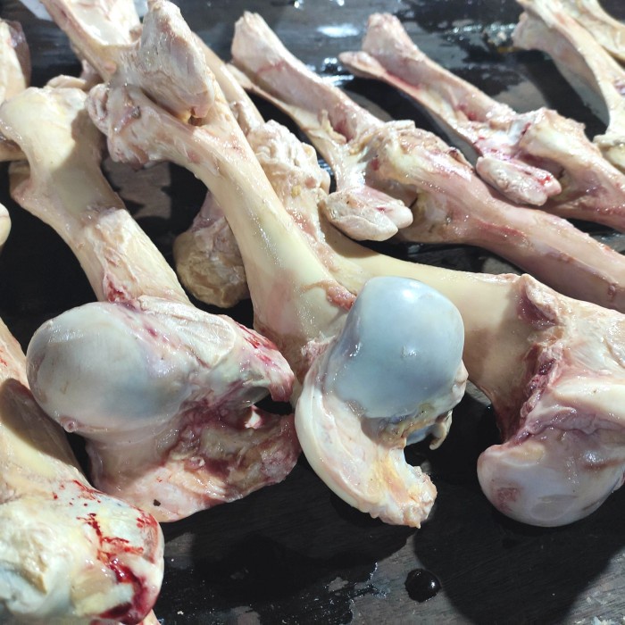 

tulang sum sum sapi pasar online makassar