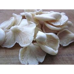 

EXPRESS Jamur Tiram -/+250gr