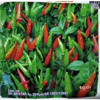 isi 10 Biji Benih Cabe Rawit  Benih Inti - Bibit Cabe rawit hijau ASLI ijo Akar varietas 22 nissa ni