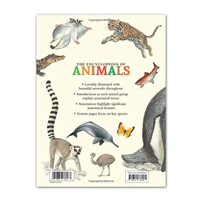 Buku BBW THE ENCYCLOPEDIA OF ANIMALS