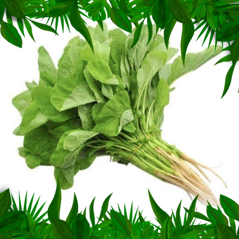 

SAYURAN FRESH NUSANTARA - BAYAM / BAYEM 1ikat