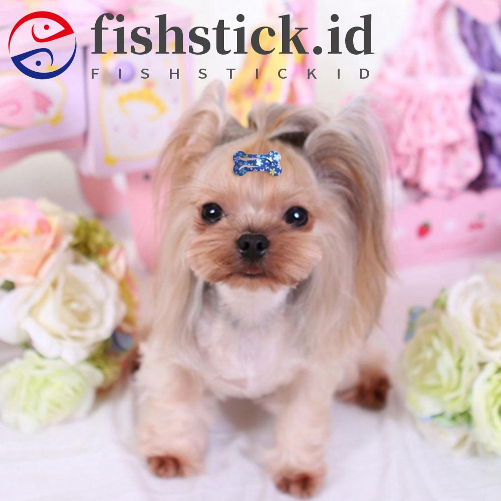 Fishstick Dog Hairpin Portable 10pcs Hiasan Kepala Hewan Peliharaan Bentuk Tulang Warna-Warni Lucu