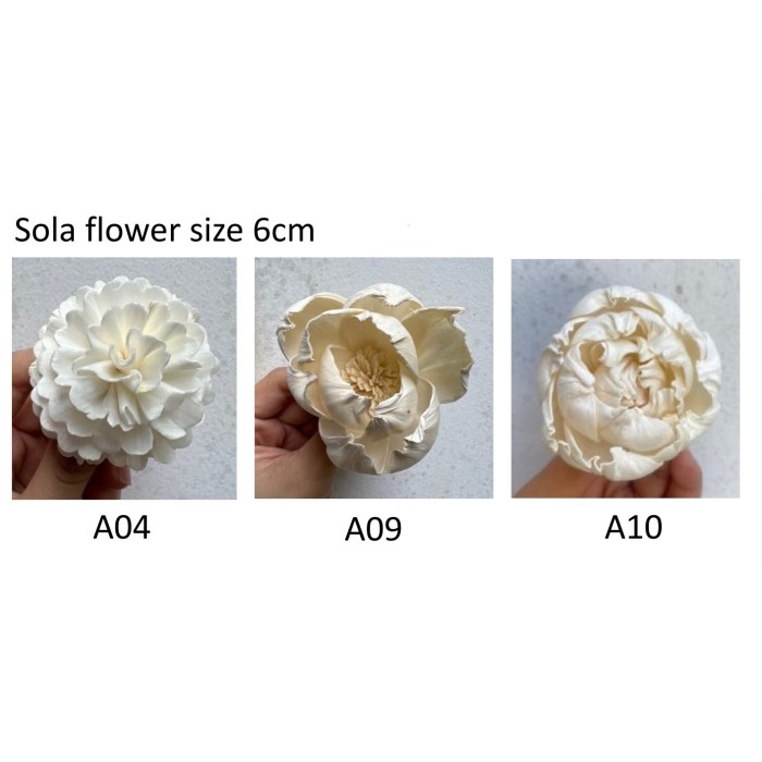 Sola wood flower 1pack10steam/mini sola flower/bunga sola - a06