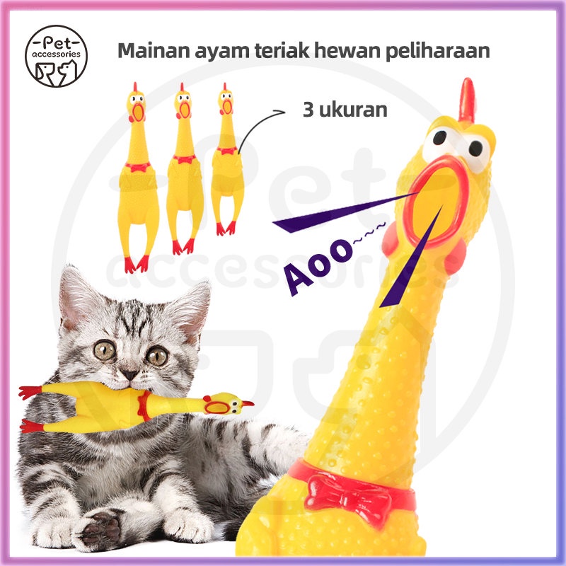 mainan hewan peliharaan ayam berteriak tahan gigitan tahan gertakan gigi hewan mainan hewan peliharaan